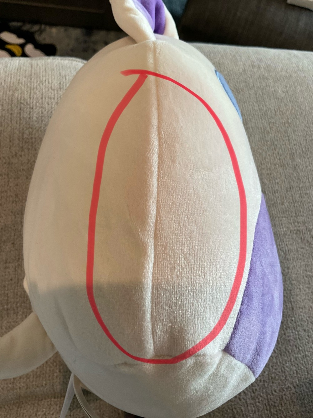 NWT Squishmallows Taghi the Bull Terrier Dog 8" Plush – FLAWED - Picture 10 of 10